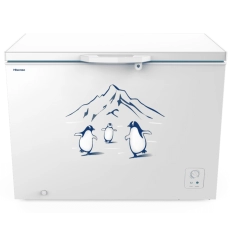 Tủ đông Hisense Inverter 300 lít FC380D4EWC1