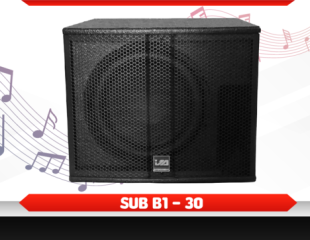 SUB B1 - 30 (3 TẤC)