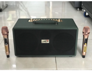 Loa di động xách tay HLD T-200 Pro