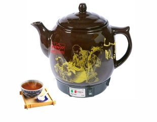 Ấm sắc thuốc Pengo PG-333A