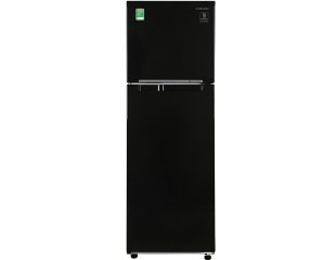 Tủ lạnh Samsung Inverter 256 lít RT25M4032BU/SV