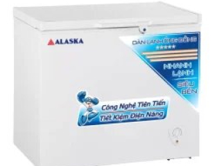 Tủ đông Alaska 205 lít BD-300C