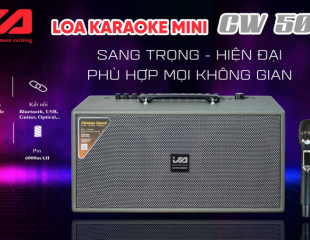 LOA KARAOKE MINI CW500