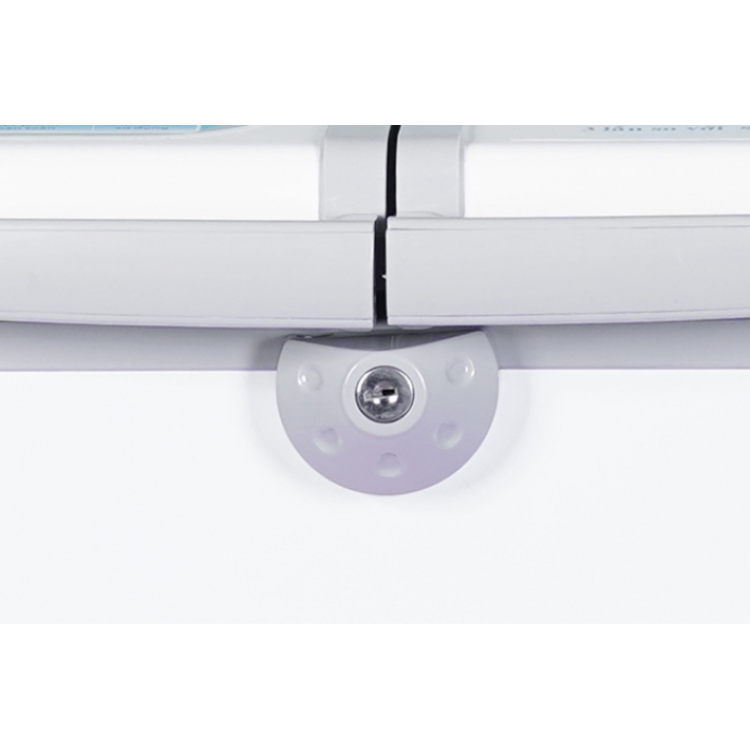 Tủ đông Sanaky Inverter 250 lít VH-2599A3