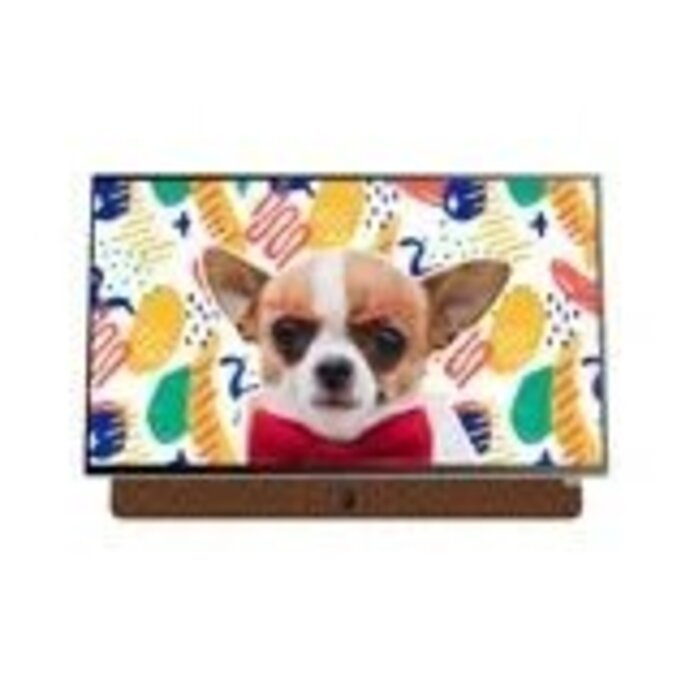 Google TV 2K FHD 24 inch Skyworth 24P6300